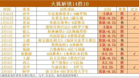 西北区赛事球队全面剖析