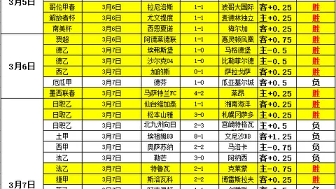 许永凯携手金羽佳首度夺冠，展望马来西亚公开赛明年再创佳绩